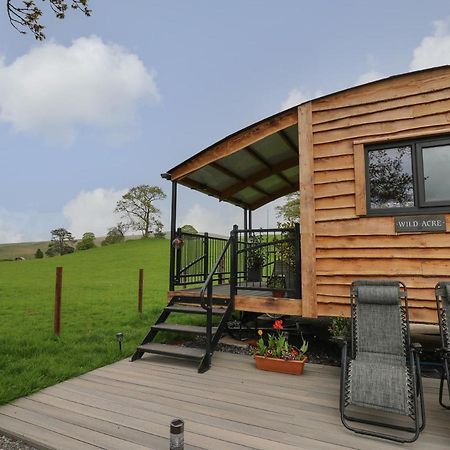 Вілла Wild Acre Llangadog Екстер'єр фото