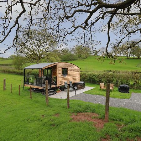 Вілла Wild Acre Llangadog Екстер'єр фото