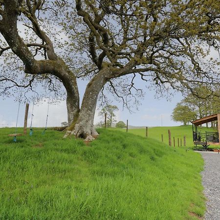 Вілла Wild Acre Llangadog Екстер'єр фото
